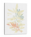 Pastel Tropics Ii - June Erica Vess | Cuadro decorativo de Canvas Lab