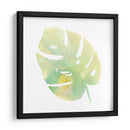 Prisma Tropical I - June Erica Vess | Cuadro decorativo de Canvas Lab