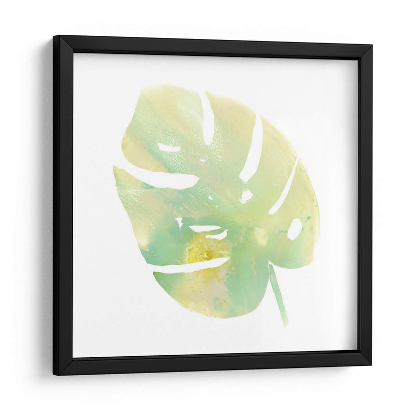 Prisma Tropical I - June Erica Vess | Cuadro decorativo de Canvas Lab