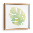 Prisma Tropical I - June Erica Vess | Cuadro decorativo de Canvas Lab