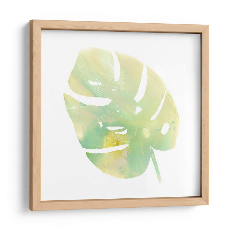 Prisma Tropical I - June Erica Vess | Cuadro decorativo de Canvas Lab
