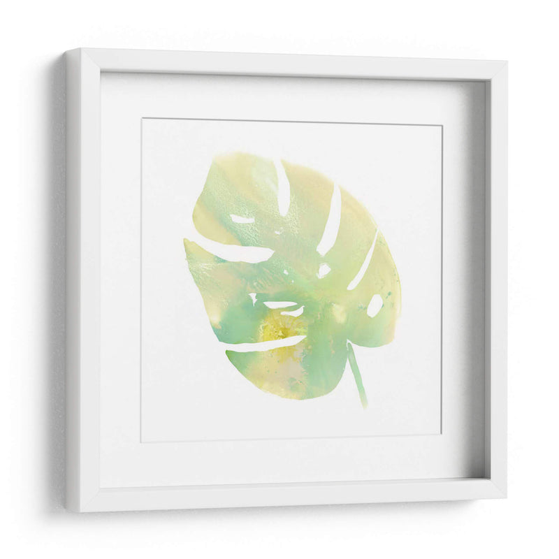 Prisma Tropical I - June Erica Vess | Cuadro decorativo de Canvas Lab