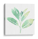 Prisma Tropical Ii - June Erica Vess | Cuadro decorativo de Canvas Lab