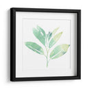 Prisma Tropical Ii - June Erica Vess | Cuadro decorativo de Canvas Lab