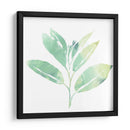 Prisma Tropical Ii - June Erica Vess | Cuadro decorativo de Canvas Lab