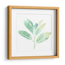 Prisma Tropical Ii - June Erica Vess | Cuadro decorativo de Canvas Lab