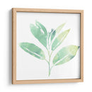 Prisma Tropical Ii - June Erica Vess | Cuadro decorativo de Canvas Lab