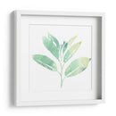 Prisma Tropical Ii - June Erica Vess | Cuadro decorativo de Canvas Lab