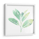Prisma Tropical Ii - June Erica Vess | Cuadro decorativo de Canvas Lab