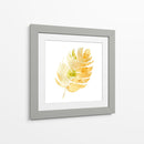 Prisma Tropical Iii - June Erica Vess | Cuadro decorativo de Canvas Lab
