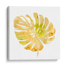 Prisma Tropical Iv - June Erica Vess | Cuadro decorativo de Canvas Lab