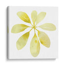 Prisma Tropical V - June Erica Vess | Cuadro decorativo de Canvas Lab