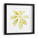 Prisma Tropical V - June Erica Vess | Cuadro decorativo de Canvas Lab