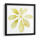 Prisma Tropical V - June Erica Vess | Cuadro decorativo de Canvas Lab