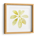 Prisma Tropical V - June Erica Vess | Cuadro decorativo de Canvas Lab