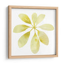 Prisma Tropical V - June Erica Vess | Cuadro decorativo de Canvas Lab