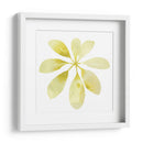 Prisma Tropical V - June Erica Vess | Cuadro decorativo de Canvas Lab