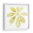 Prisma Tropical V - June Erica Vess | Cuadro decorativo de Canvas Lab