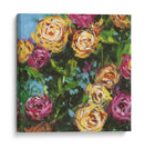 Rosas En La Luz Del Sol Ii - Melissa Wang | Cuadro decorativo de Canvas Lab