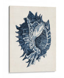 Colección Costera En Indigo I - Vision Studio | Cuadro decorativo de Canvas Lab