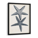 Colección Costera En Indigo Ii - Vision Studio | Cuadro decorativo de Canvas Lab