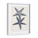 Colección Costera En Indigo Ii - Vision Studio | Cuadro decorativo de Canvas Lab