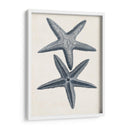 Colección Costera En Indigo Ii - Vision Studio | Cuadro decorativo de Canvas Lab