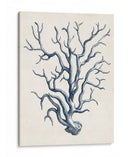 Colección Costera En Indigo Iv - Vision Studio | Cuadro decorativo de Canvas Lab