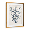 Colección Costera En Indigo Iv - Vision Studio | Cuadro decorativo de Canvas Lab