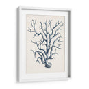 Colección Costera En Indigo Iv - Vision Studio | Cuadro decorativo de Canvas Lab