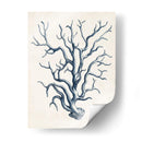 Colección Costera En Indigo Iv - Vision Studio | Cuadro decorativo de Canvas Lab