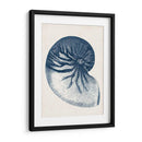 Colección Costera En Índigo V - Vision Studio | Cuadro decorativo de Canvas Lab