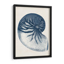 Colección Costera En Índigo V - Vision Studio | Cuadro decorativo de Canvas Lab