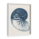 Colección Costera En Índigo V - Vision Studio | Cuadro decorativo de Canvas Lab