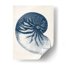 Colección Costera En Índigo V - Vision Studio | Cuadro decorativo de Canvas Lab