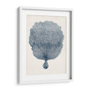 Colección Costera En Indigo Vi - Vision Studio | Cuadro decorativo de Canvas Lab