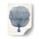 Colección Costera En Indigo Vi - Vision Studio | Cuadro decorativo de Canvas Lab