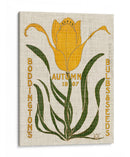 Paquetes De Semillas De Flores I - Vision Studio | Cuadro decorativo de Canvas Lab