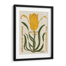 Paquetes De Semillas De Flores I - Vision Studio | Cuadro decorativo de Canvas Lab