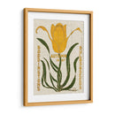 Paquetes De Semillas De Flores I - Vision Studio | Cuadro decorativo de Canvas Lab