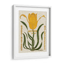 Paquetes De Semillas De Flores I - Vision Studio | Cuadro decorativo de Canvas Lab