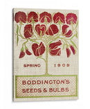 Paquetes De Semillas De Flores Ii - Vision Studio | Cuadro decorativo de Canvas Lab