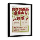 Paquetes De Semillas De Flores Ii - Vision Studio | Cuadro decorativo de Canvas Lab