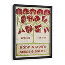 Paquetes De Semillas De Flores Ii - Vision Studio | Cuadro decorativo de Canvas Lab