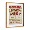 Paquetes De Semillas De Flores Ii - Vision Studio | Cuadro decorativo de Canvas Lab