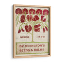 Paquetes De Semillas De Flores Ii - Vision Studio | Cuadro decorativo de Canvas Lab