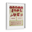 Paquetes De Semillas De Flores Ii - Vision Studio | Cuadro decorativo de Canvas Lab