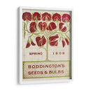 Paquetes De Semillas De Flores Ii - Vision Studio | Cuadro decorativo de Canvas Lab