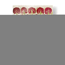 Paquetes De Semillas De Flores Ii - Vision Studio | Cuadro decorativo de Canvas Lab