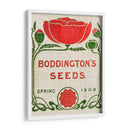 Paquetes De Semillas De Flores Iii - Vision Studio | Cuadro decorativo de Canvas Lab